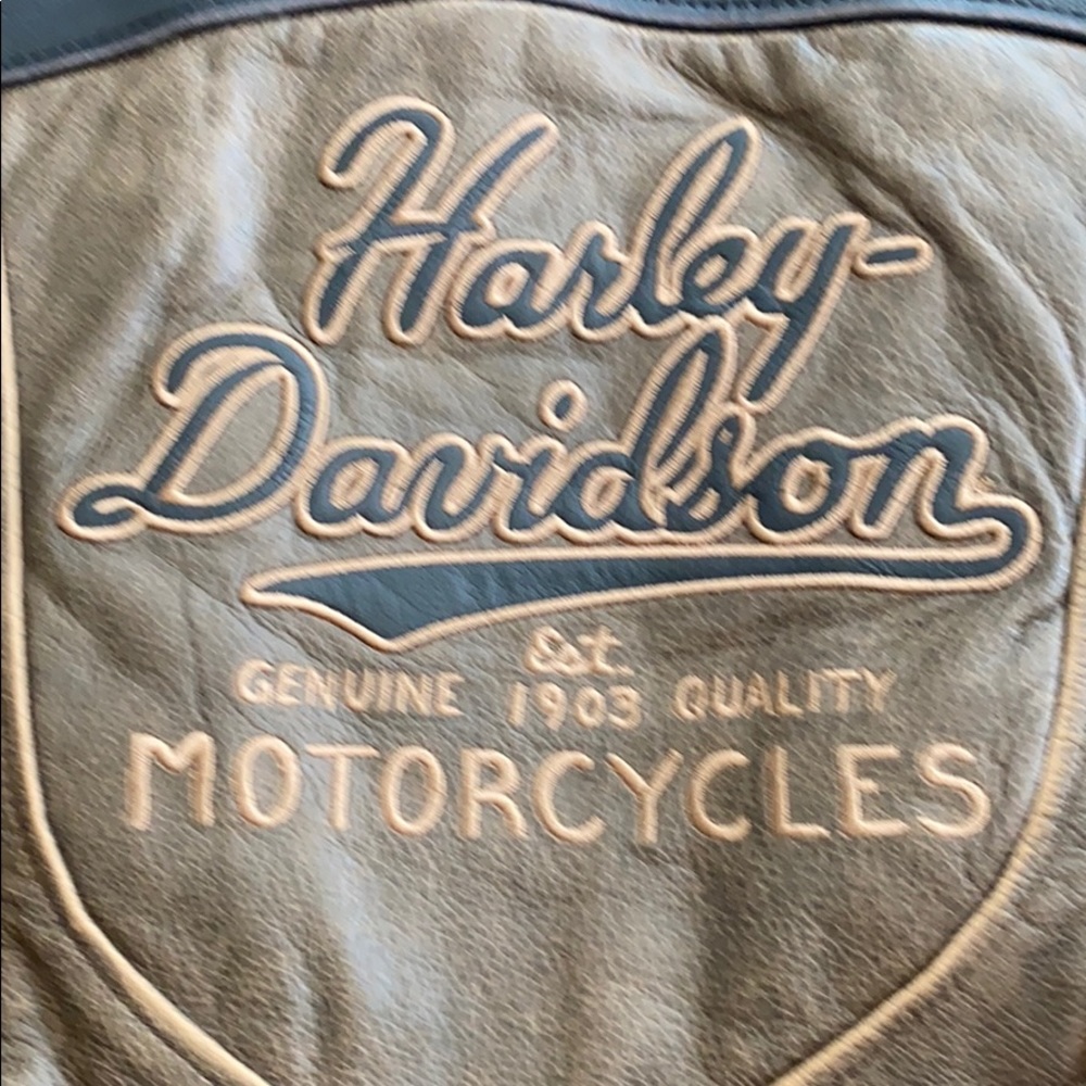 Harley Davidson Leather Jacket